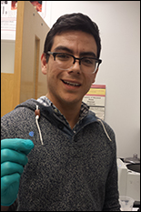 Picture 1: Torres holds a thin film of milky plastic that can be used to detect trillionth parts of a solution of enzymes with a dramatic color change. 
Picture 2: Three projects of the FML in 2017:  nanoparticle polymer film to detect enzymes, sprayable plastic bandage, and polymer-filled battery.
