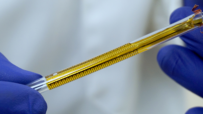 The flexible impedance sensor, shown here inside a clear catheter tube. The sensor's surface (yellow) conforms to the inside of the catheter. The gold comb-like structures are the device's embedded electrodes, which produce the bioelectric effect that works with antibiotics to treat the bacterial biofilm. PHOTO CREDIT: Ryan Huiszoon, MEMS Sensors and Actuators Laboratory, University of Maryland.