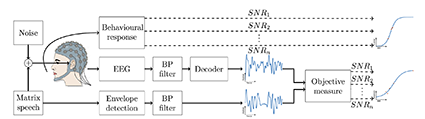 Figure 1 from the paper. Experimental setup: Flemish Matrix sentences were used to behaviorally measure speech intelligibility. In the EEG experiment, the researchers presented stimuli from the same Matrix corpus while measuring the EEG. By correlating the speech envelopes from the Matrix and the envelopes decoded from the EEG, the researchers obtained an objective measure.