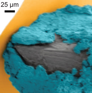 Researchers turned this nanoscale probe of tungsten (gray) coated with lithium oxide (blue) as a battery when pressed against silicon (orange) to study how pressure affects electrical current.