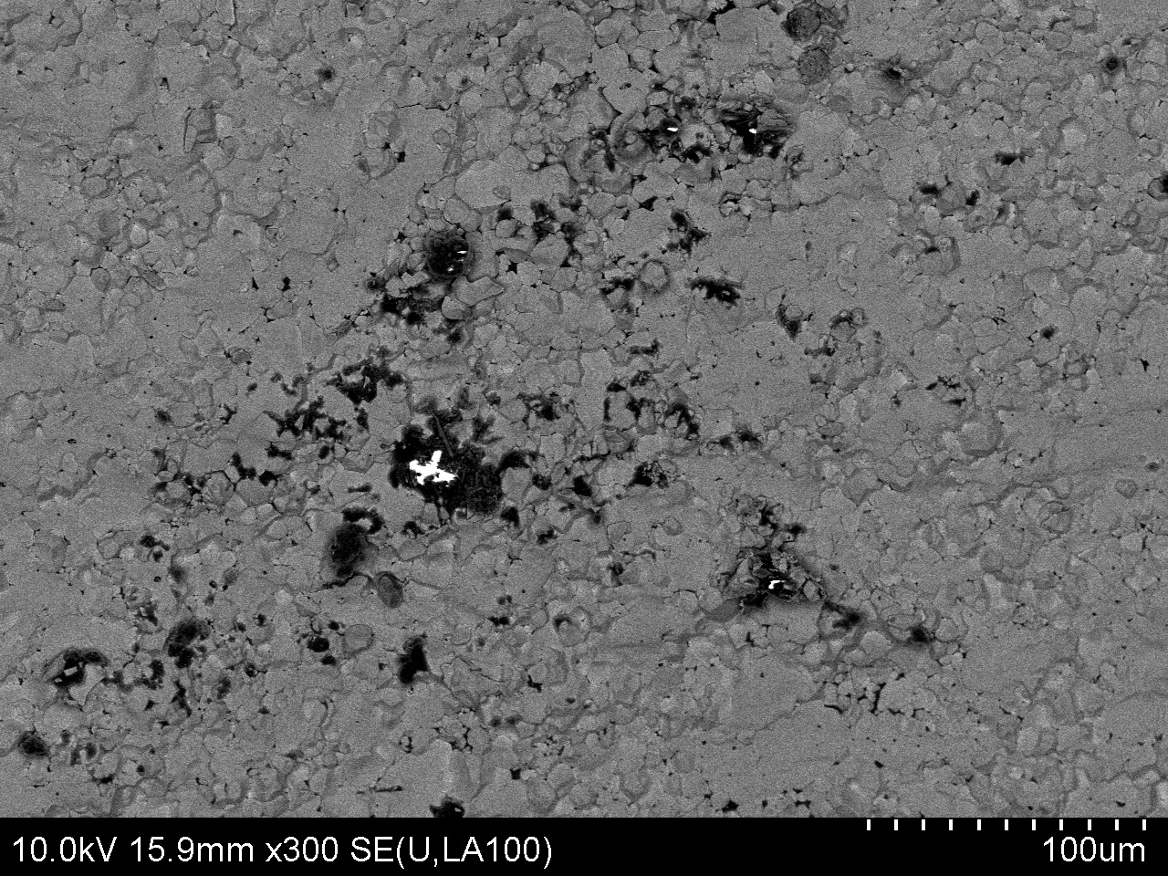 SEM image of dendrite formation.