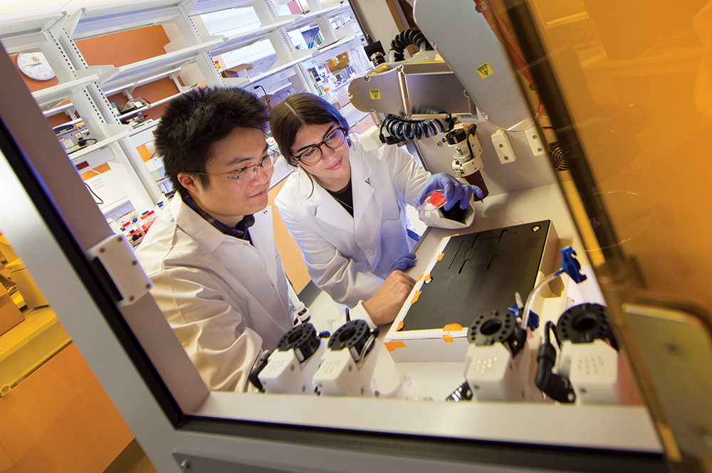 Guang Yang (left) and Julia Pinsky holding lab-grown engineered tissue. Photo: John T. Consoli