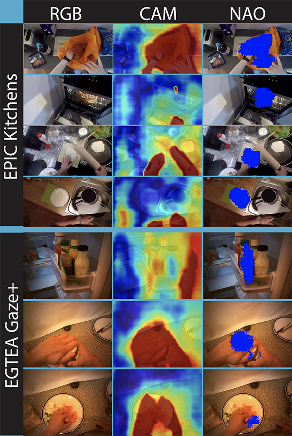 Fig. 5 from the paper. The Anticipation Module outputs Contact Anticipation Maps (second column) and Next ActiveObject segmentations (third column). The Contact Anticipation Maps contain continuous values of estimated time-to-contact between hands and the rest of the scene (visualizations varying between red for short anticipated time-to-contact, and blue for long anticipated time-to-contact). The predicted Next Active Object segmentations contain the object of anticipated near-future contact, shown in blue in the third column. Predictions are shown over the EPIC Kitchens and the EGTEA Gaze+ datasets.