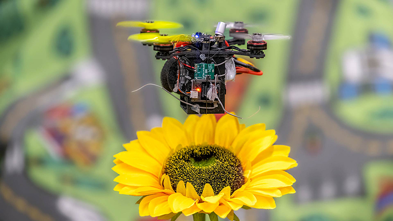 

A tiny drone hovers over a sunflower in a lab in the Iribe Center for Computer Science and Engineering. UMD researchers are developing technology that could allow flying robots to help threatened bee populations pollinate crucial crops.Photo by Ph.D. student Nitin Sanket

