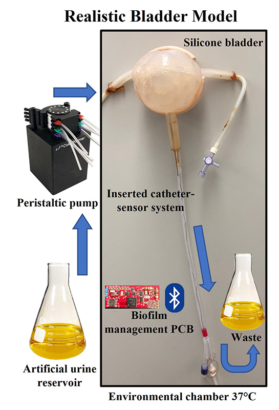The current setup of the integrated system includes a sensor system inserted into a Foley catheter, a Bluetooth-enabled biofilm management printed circuit board (PCB), and a realistic silicone bladder. The system operates inside an environmental chamber kept at 37?C—body temperature. (From Fig. 1 of the paper)