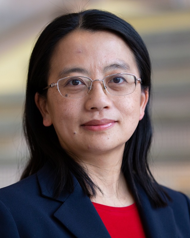 Professor Min Wu