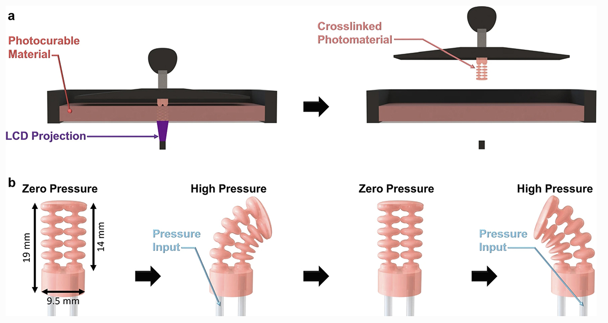 Fig. 2 from the paper. Manufacturing and operation of soft robotic catheter tip. a) Printing process for the soft robotic actuator. b) Pressurizing the leftmost channel inflates the bellows and bends the catheter to the right, while pressurizing the rightmost channel bends the catheter to the left. [Click graphic for larger view.]