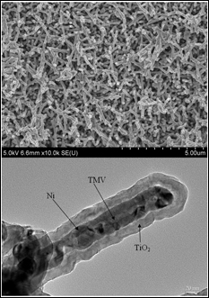 SEM image of Ni/TiO2 nanocomposite electrode (top), cross-section TEM image of an individual nanorod showing the core/shell nanostructure (Credit: University of Maryland, College Park)