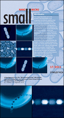 Top: Raghavan and DeVoe's novel approach to lab-on-a-chip manufacturing was illustrated in the frontispiece of Vol 7, Issue 17 of Small, a leading interdisciplinary journal covering micro- and nanotechnology. Lower left: A flexible chain of chitosan microbeads containing magnetic particles, produced by the team's lab-on-a-chip, arches under the influence of a magnetic field. Lower right: Another chitosan chain manufactured by the chip shows an alternating pattern of light (fluorescing) and dark (magnetic particle-filled) microbeads.