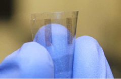 Transparent Transistor
Researchers printed transistors on a smooth, clear piece of nanopaper.
Credit: ACS Nano