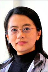 Professor Min Wu