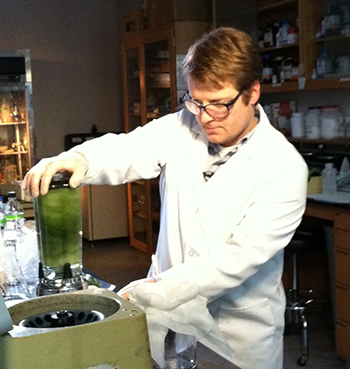 In the early days of the research, TMV was grown on tobacco plants, then extracted for use in a series of labor-intensive steps. In this photo from 2010, Ph.D. student Adam Brown uses a blender to pulverize the TMV-laden tobacco leaves. PHOTO CREDIT: Rebecca Copeland, ISR