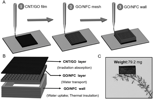 Schematic illustratio of 3D printing process and sample structure.