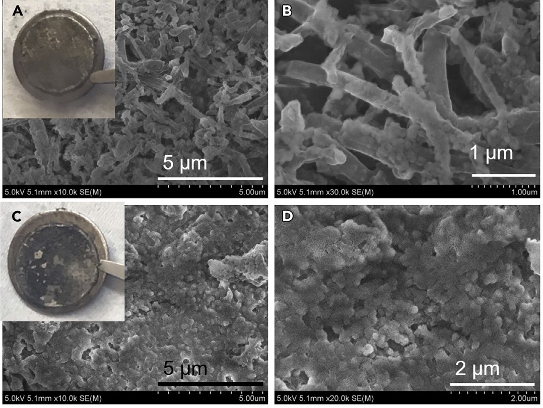 SEM images of cycled Li-metal anodes obtained from 1 M LiFSI EC/DMC (EC:DMC = 1:1) (A and B) and from 10 M LiFSI EC/DMC (C and D). Insets in (A) and (C) show the optical images of cycled Li foils on the spacers.