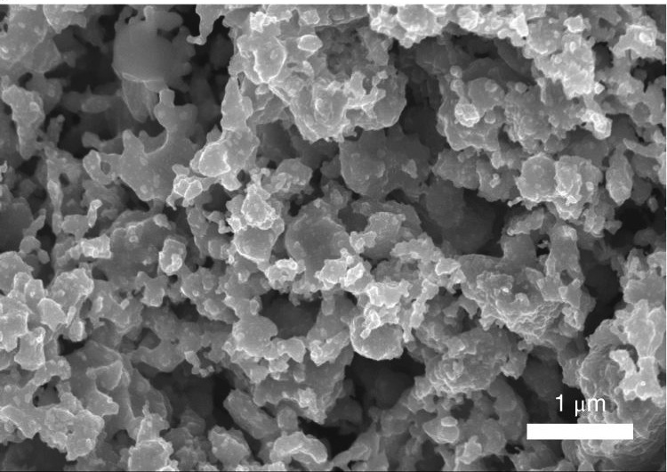 Image: PBSCF cathode microstructure after sintering at 950 °C.