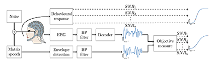 Improving speech intelligibility testing with new EEG...