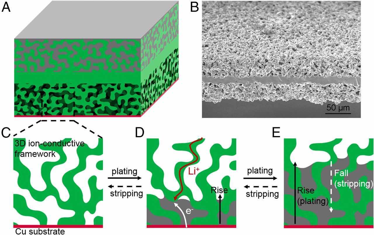 Schematic for the process of Li plating and stripping in the 3D Li-ion-conductive host.