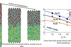 New Research on Polyelectrolyte Brush Bilayers...