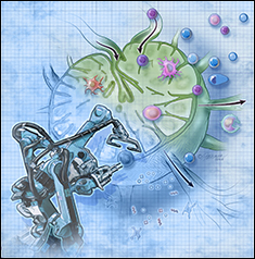 UMD Researchers Point to Future of Engineered Immune...