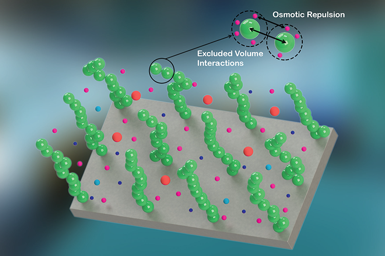 A new theory has been developed to account for the effects of excluded volume interactions and modified mass action law in the configuration and electrostatics of pH-responsive, strongly-stretched polyelectrolyte brushes.