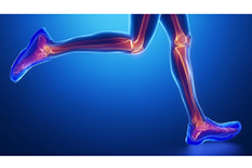 Runners' shin bones endure heavier loads when athletes dawdle than when they hightail it, new research shows.(Illustration by iStock)