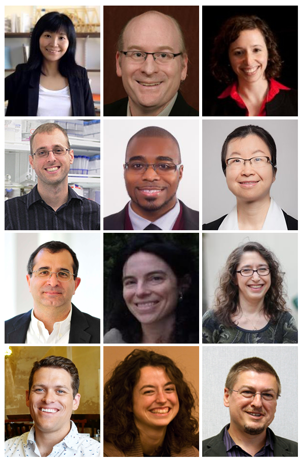From left to right, starting at top: Profs. Hu, Bernat, Goldstein, Nemes, Ray, Wang, El-Sayed, O'Rourke, Newman, Speer, Lau, & Simon