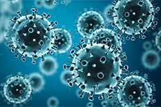 UMD researchers with the Virginia-Maryland College of Veterinary Medicine are working to produce a universal flu vaccine effective on any strain of the flu.(Flu viruses illustration by Shutterstock)