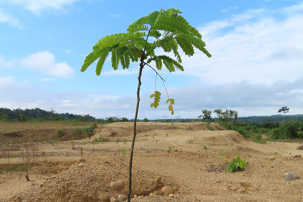 First-of-kind Research Measures Gold Mining's Impact in...