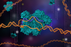 3D rendering of CRISPR technology (Stock image)
