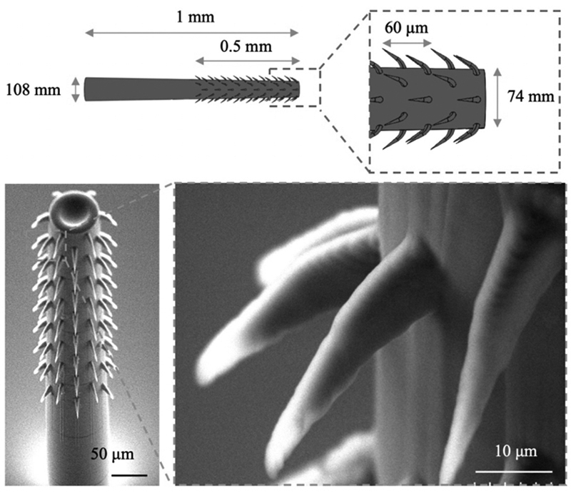 Ingestible device research advances, enters new phase