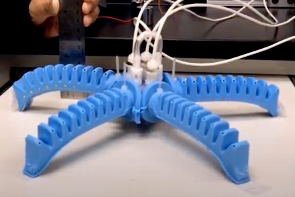 Engineering Robotic Starfish