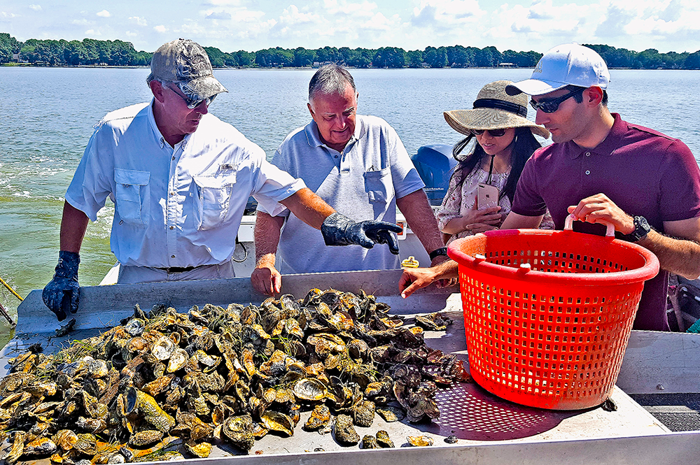 Members of the research team working together in the Chesapeake Bay for oyster imaging and dredging testing. Credit: Yang Tao/University of Maryland