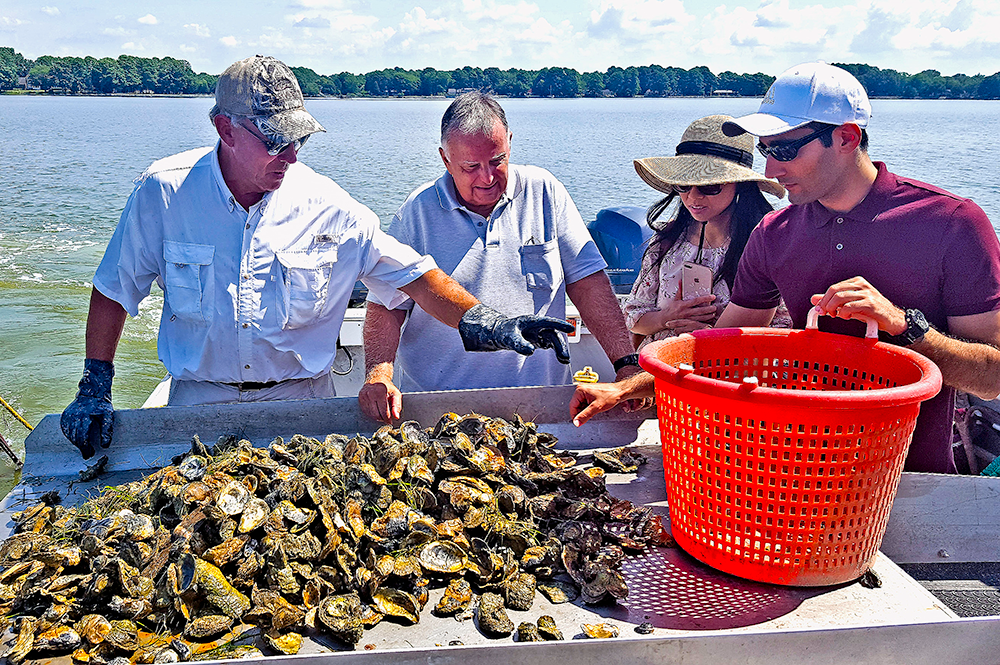 Maryland engineers receive $10M to transform shellfish...