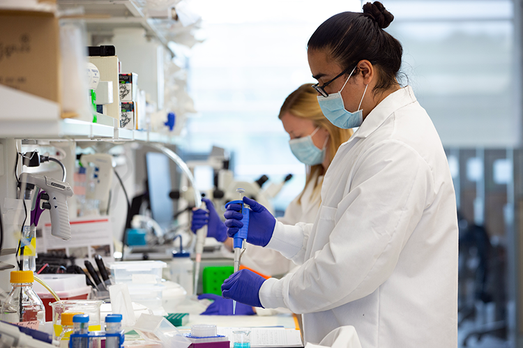 Gurneet Sangha, in foreground, and Callie Weber in the lab. Photo: Lee Gillenwater