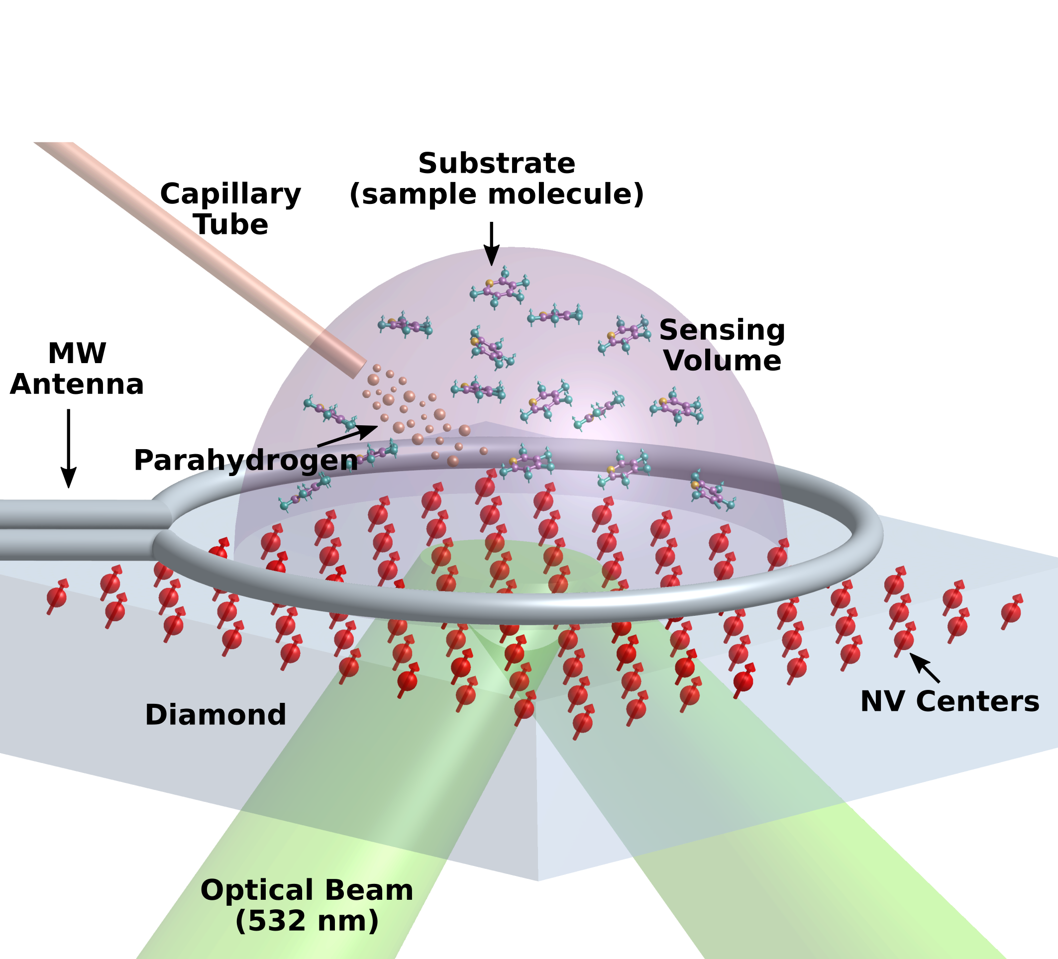 SABRE-enhanced NV-NMR