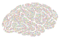 Drawing of the human brain, rainbow colors