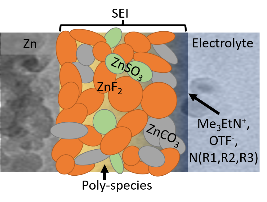 'Fluorinated interphase' bolsters water-based zinc...