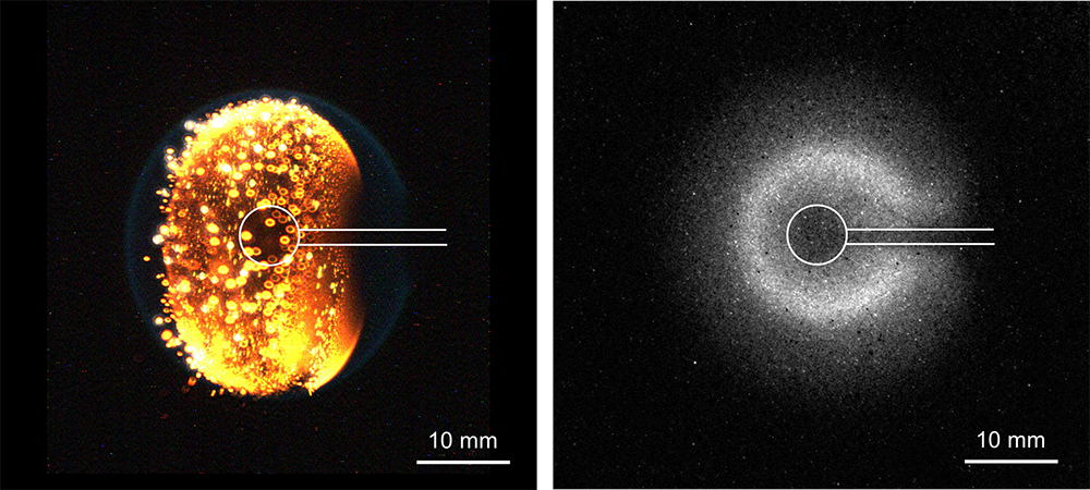 Side-by-side spherical cool flames