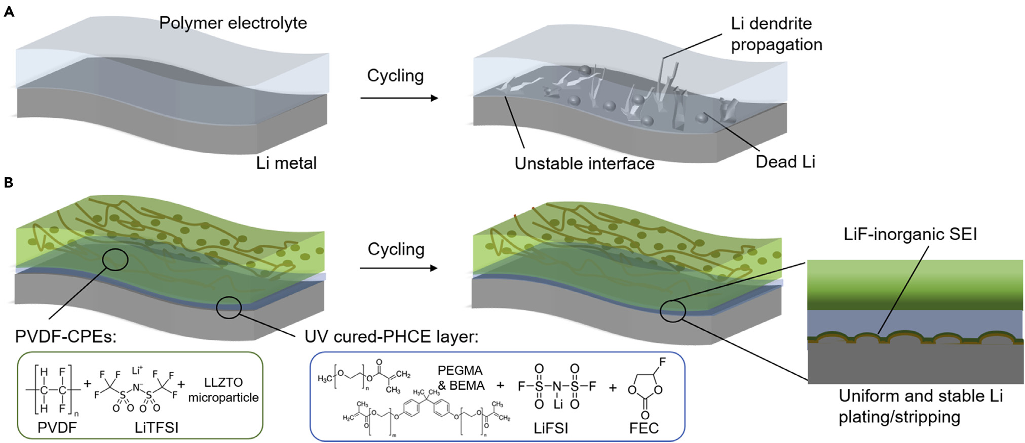 Chunsheng Wang Illustration of the interface design of inorganic-rich SEI using UV-cured PHCE thin layer.