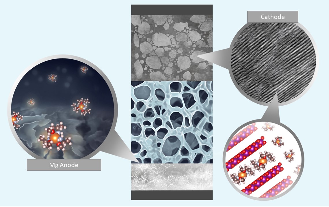 Battery electrolytes using amine-based chelants solvating divalent cations demonstrated stable and highly reversible plating/stripping of Mg metal with the scanning electron microscopy (SEM) images of the cycled Mg anode shown on a left together with a representative solvation shell of the Mg2+ cation. Credit: Nina Borodin, Singyuk Hou, Xiao Ji for UMD.