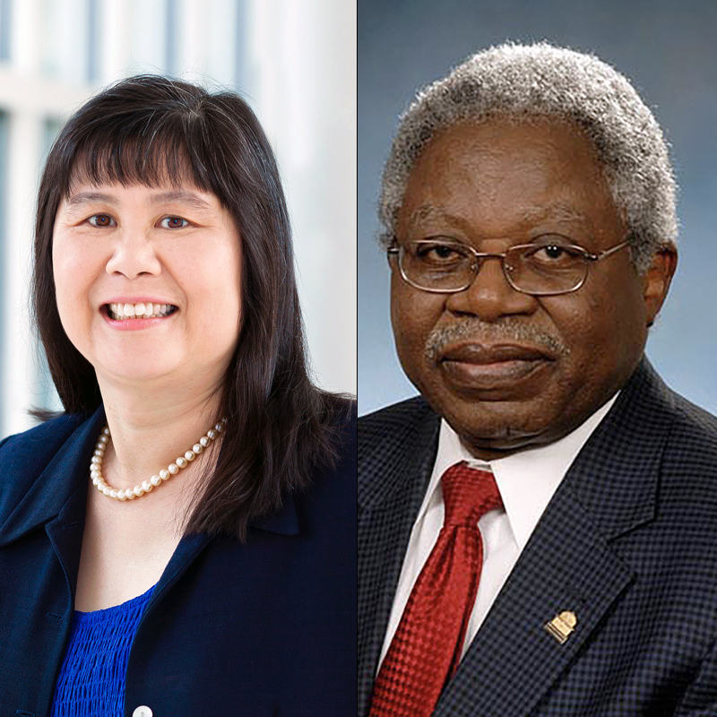 Ming Lin, Vincent Njar elected Fellows of the National...