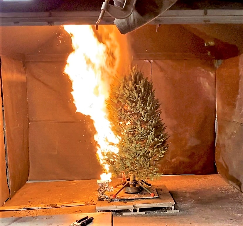 FPE Christmas tree burn 2021