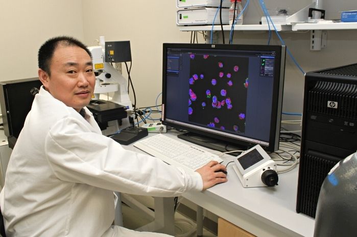 Dr. Shawn He is pictured in the lab, working with a microscope. On the screen in front of him is an image of cells.