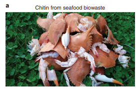 Seafood biowaste