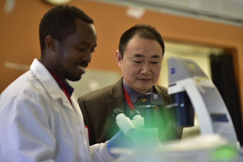Drs. Elyahb A. Kwizera and Xiaoming (Shawn) He working in the lab