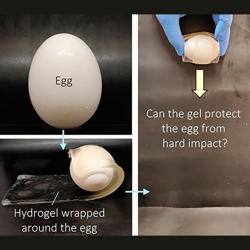 Starch gelatin wrapped egg