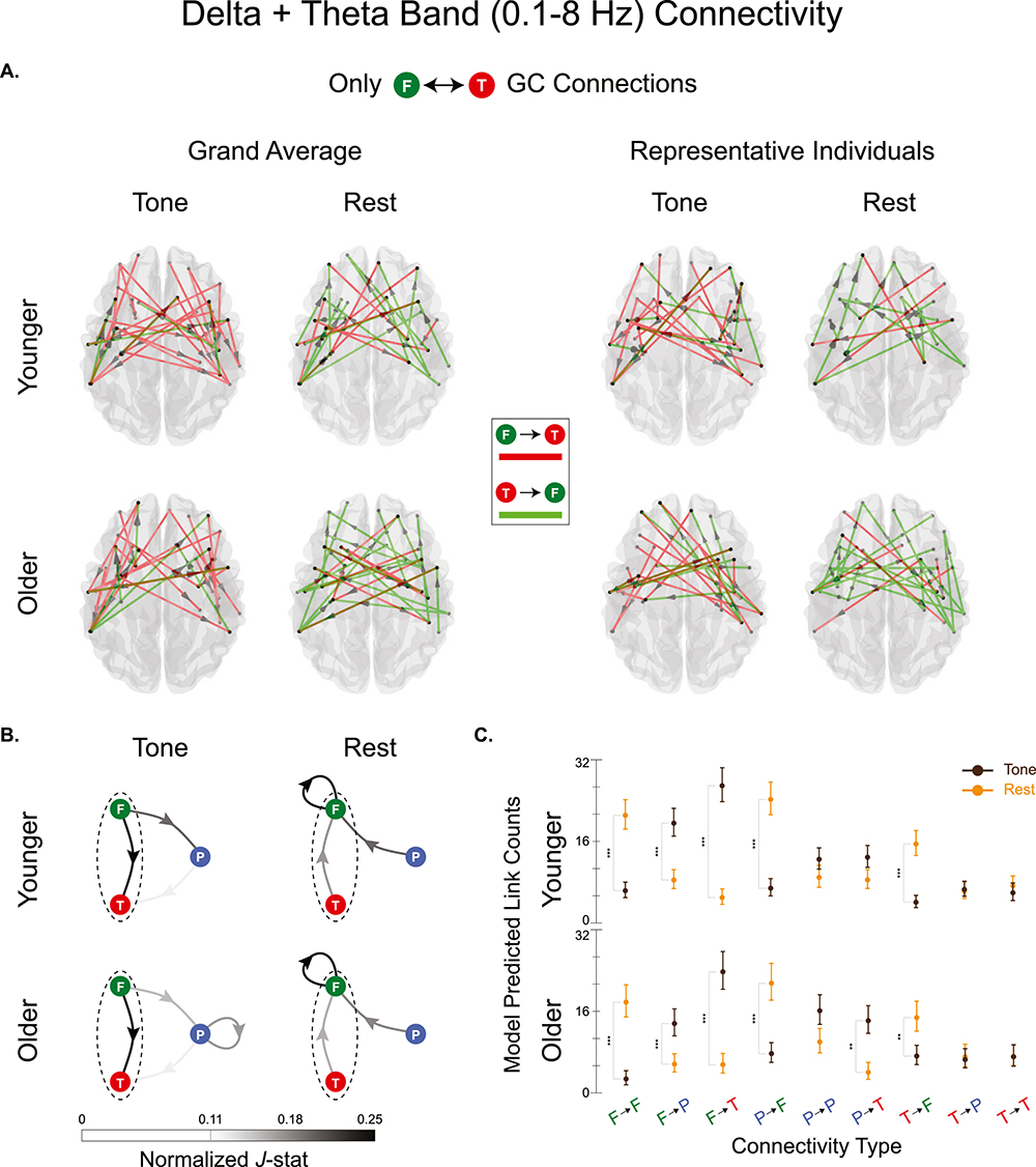 CLICK FOR LARGER VIEW.
Fig. 5 from the paper. NLGC analysis of experimentally recorded MEG data in the Delta + Theta band (0.1–8 Hz). (View the caption to this figure here: NLGC: Network Localized Granger Causality with Application to MEG Directional Functional Connectivity Analysis).