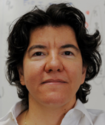 Professor Sennur Ulukus