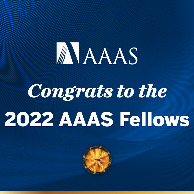 image of Maryland Engineers Graham, Nau, Zhao elected Fellows of AAAS