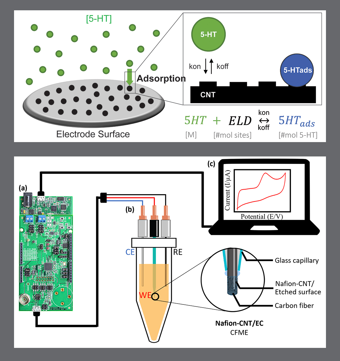 Above: Figure 1 from the Methods and Protocols paper. Schematic of serotonin molecules binding to a surface with available electrode binding sites, shown as raised sections of the black carbon nanotube (CNT) surface. This can be explained by the labeled adsorption reaction.
 
Below: Figure 1 from the Analytical Methods paper. Schematic illustration of the Nafion-CNT/EC CFME-based portable 5-HT detection system: (a) the IC, (b) the sensing element, and (c) the PC with software interface.
 
[Click image for larger view]